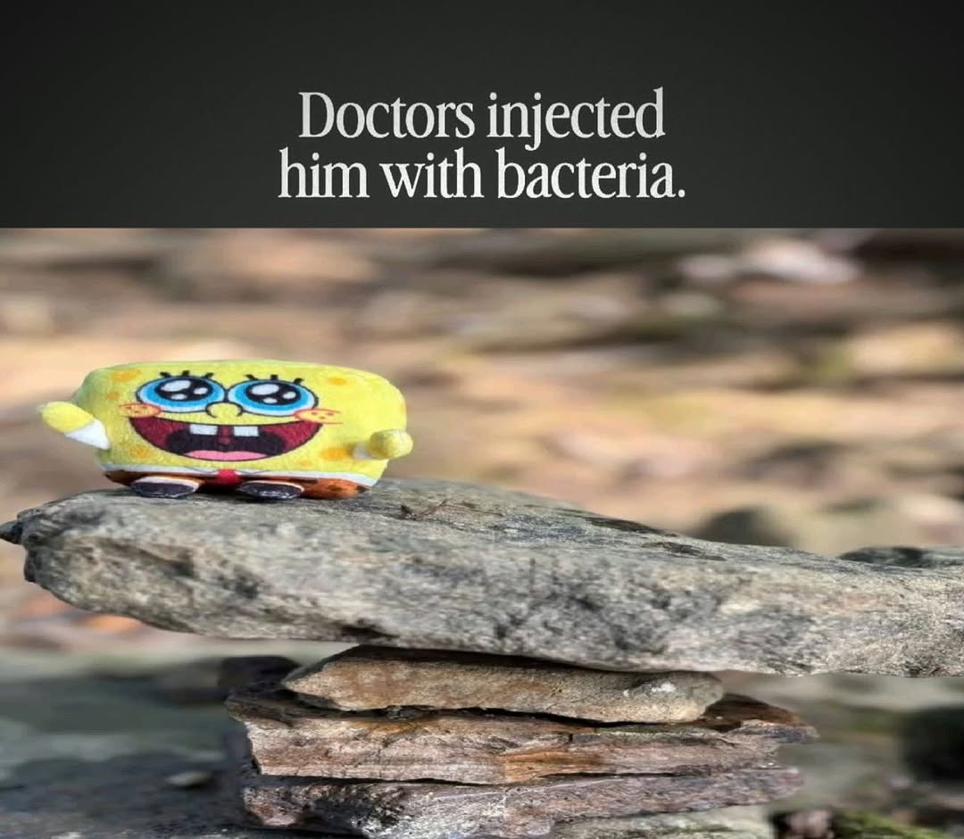 I LOVE SPONGEBO!!!!!!!!!!!!!!!!!!!!!!!!!!!!!!! tweet media