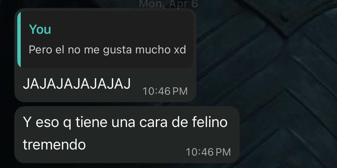 •Iara• tweet media