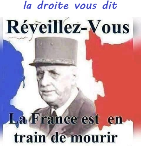 gilles du pin tweet media