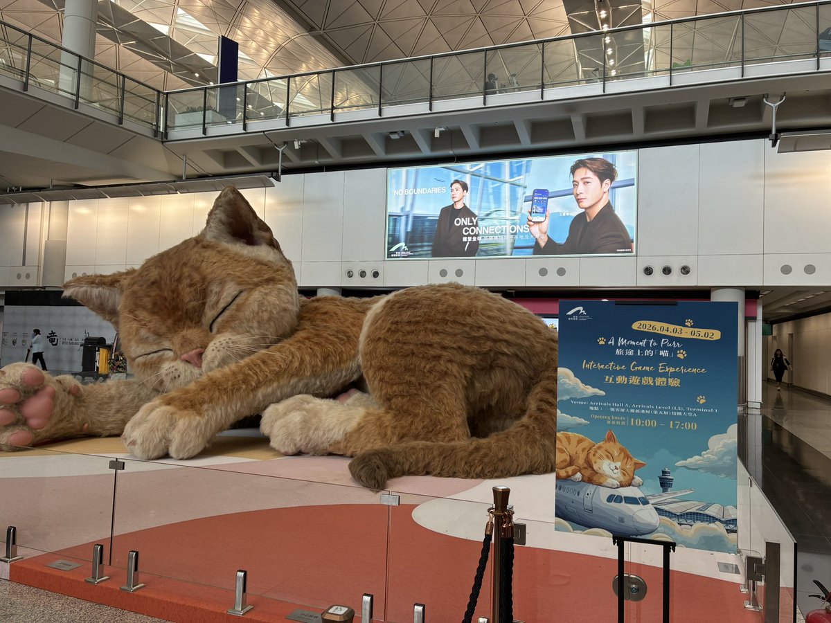 香港着いた！！