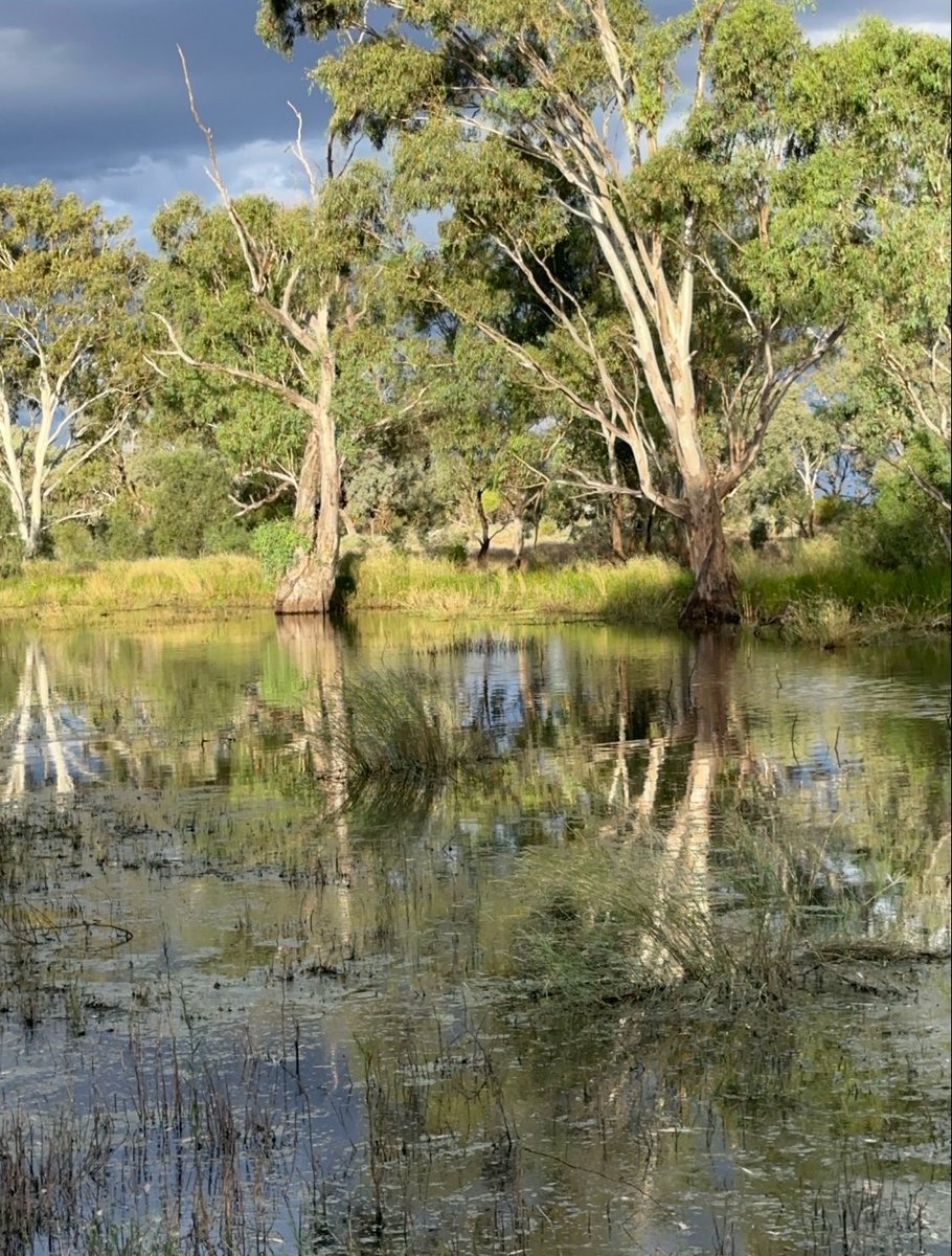 Environmental Water tweet media