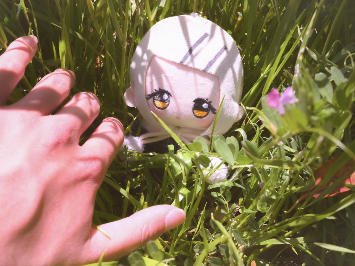 大葉しそ(ぬい活) tweet media