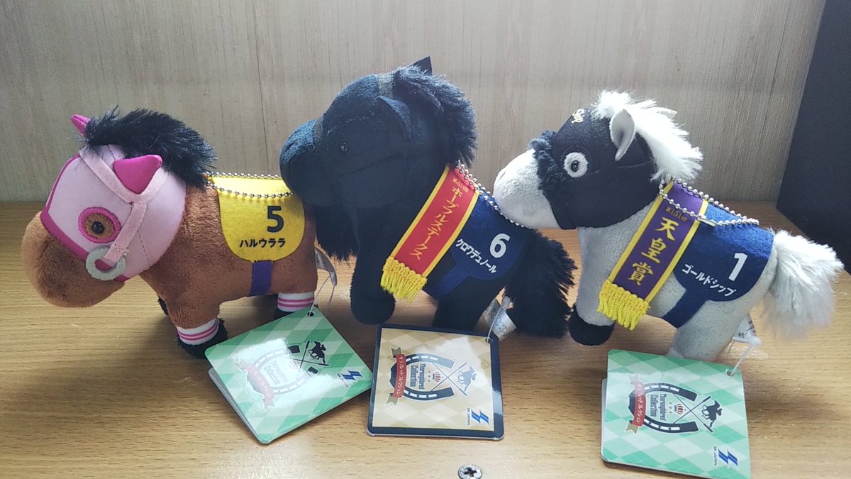 どんがば＠サラコレ🐴 tweet media