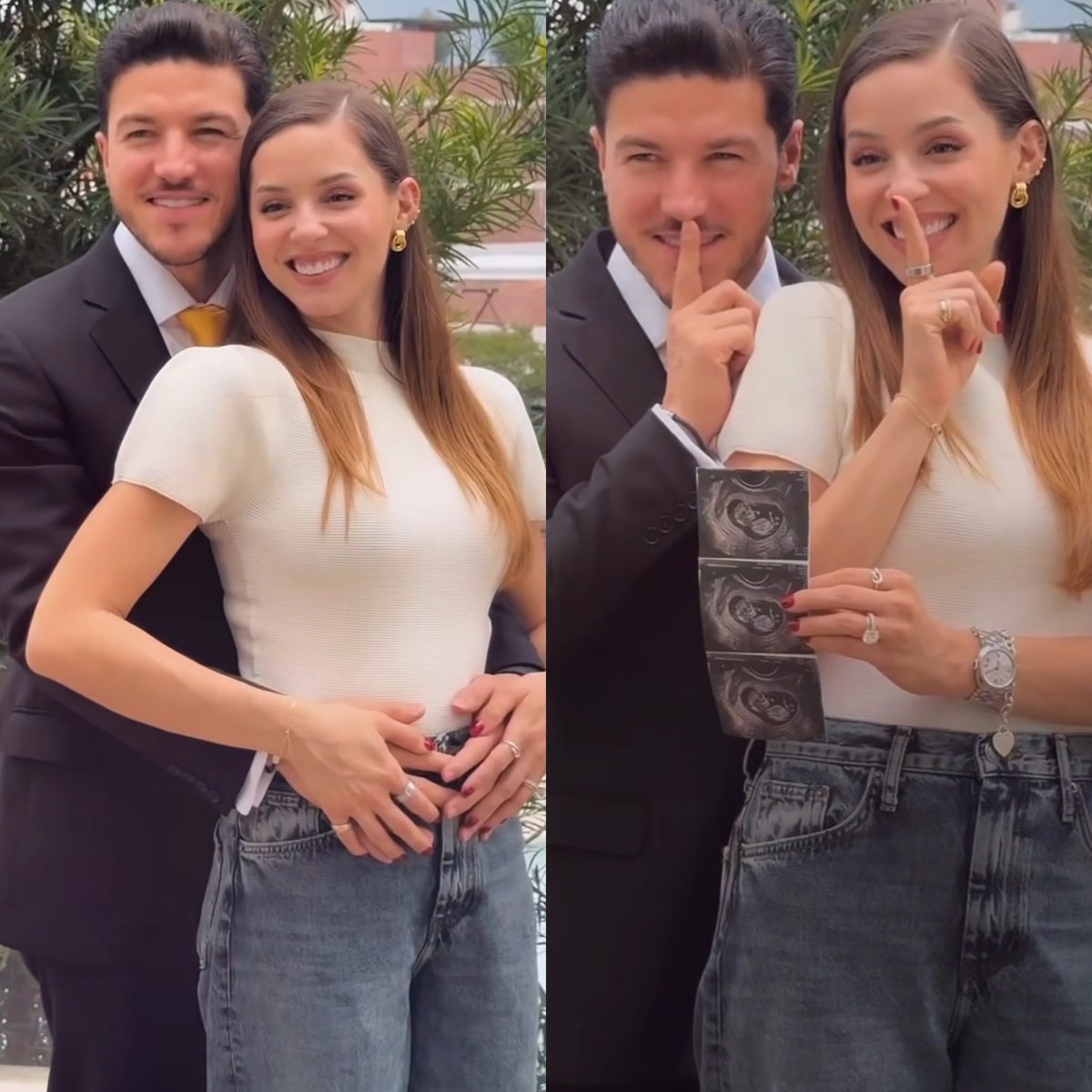 Cerebros tweet media