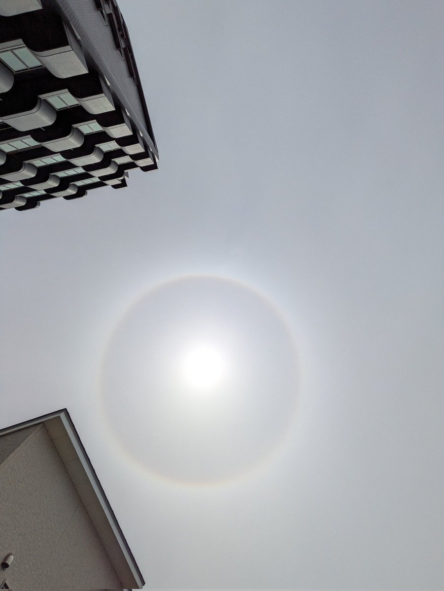 ハロ
#天気の図鑑