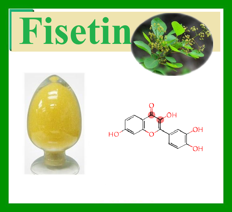 Chemicalbook001's tweet image. Fisetin is a natural flavonoid found in fruits, vegetables and medicinal plants. It possesses a variety of biological activities, including anti-inflammatory, antioxidant, anti-tumour, senescent cell clearance and lipid-lowering properties. #Fisetin #flavonoid #activities