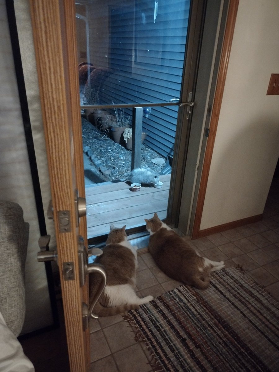 Wildlife in the north.