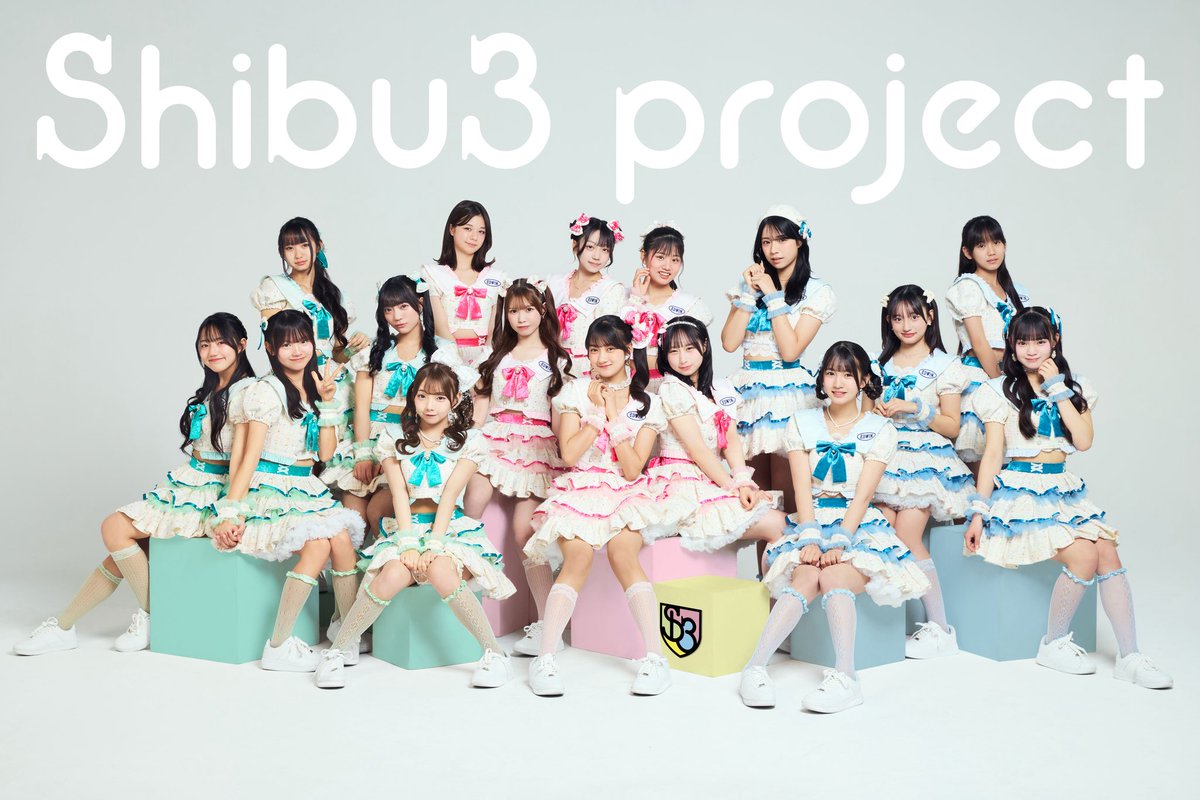 Shibu3 project tweet media