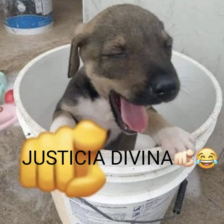 Ramses Torres tweet media