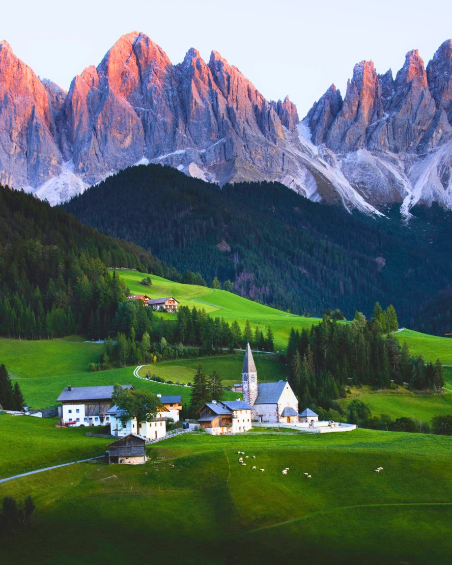 World in Pictures tweet media