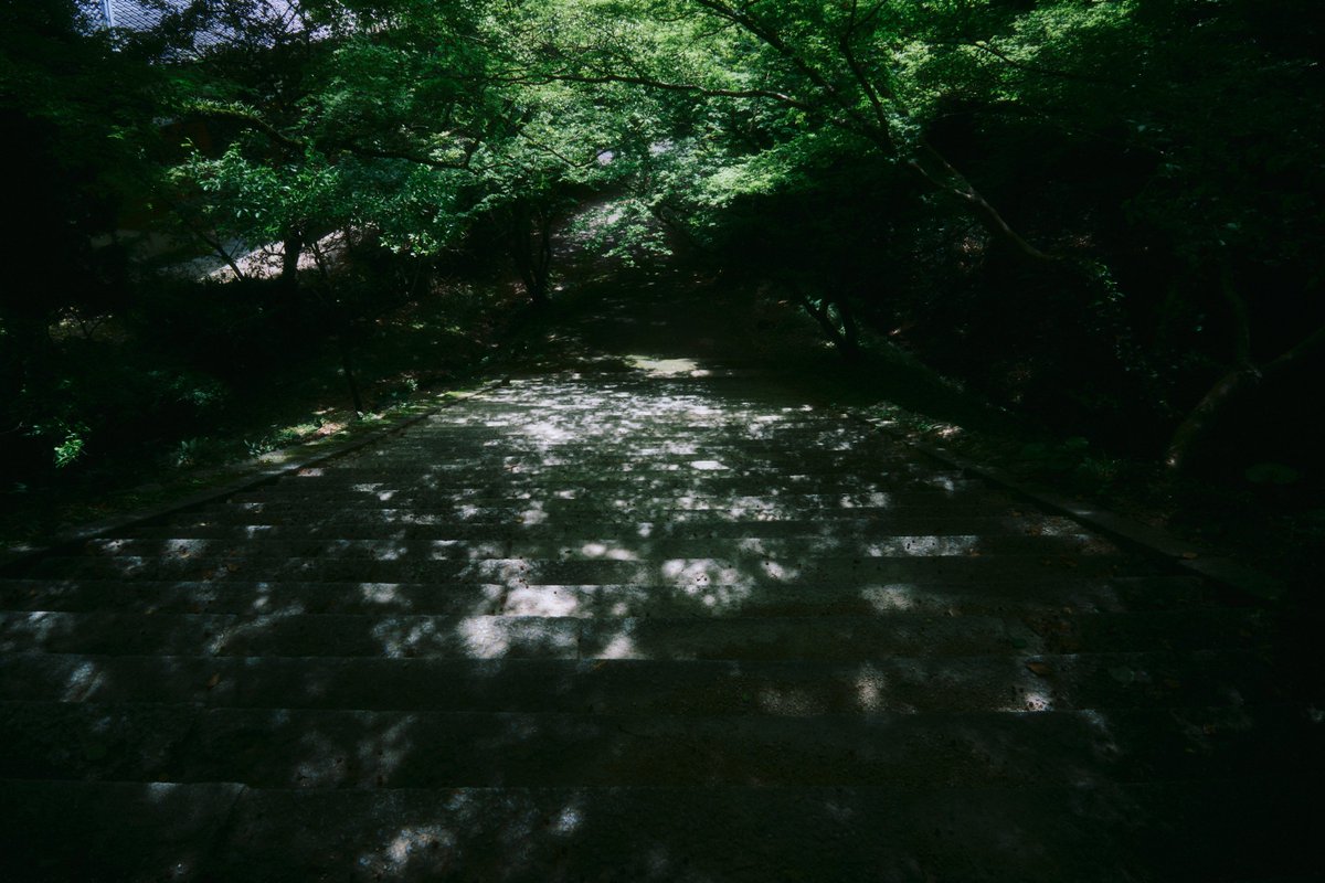 真道 健志 / Shindo Takeshi tweet media