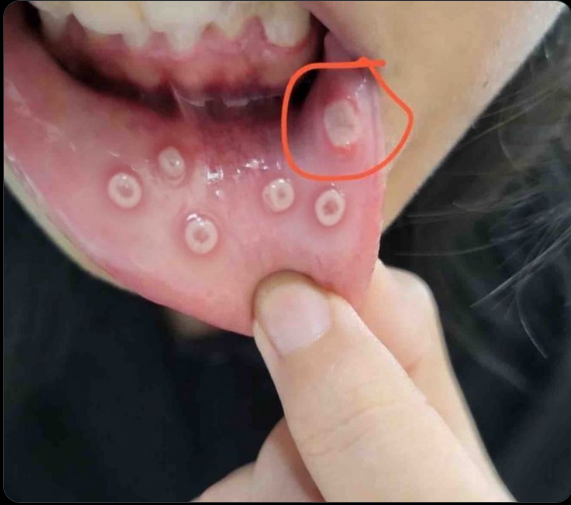 Toda Hora The Office tweet media