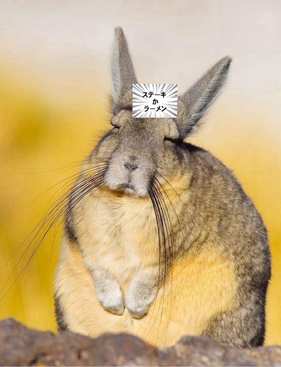 hoshi_mami_d's tweet image. #ダイマル星崎店 #ハイタッチ取材 #PR
朝イチ、すぐ超はいってくれて出玉確保！
ドライブ１回飛ぶも、有利区間切れず😾
他にもドライブ飛んでる子がッ…
【オススメ機種】
✅L東京喰種 ✅Lカバネリ ✅L北斗転生2
この辺も気になるところ✍️✨️

お昼ご飯、ラーメンかお肉で悩んでる🐰