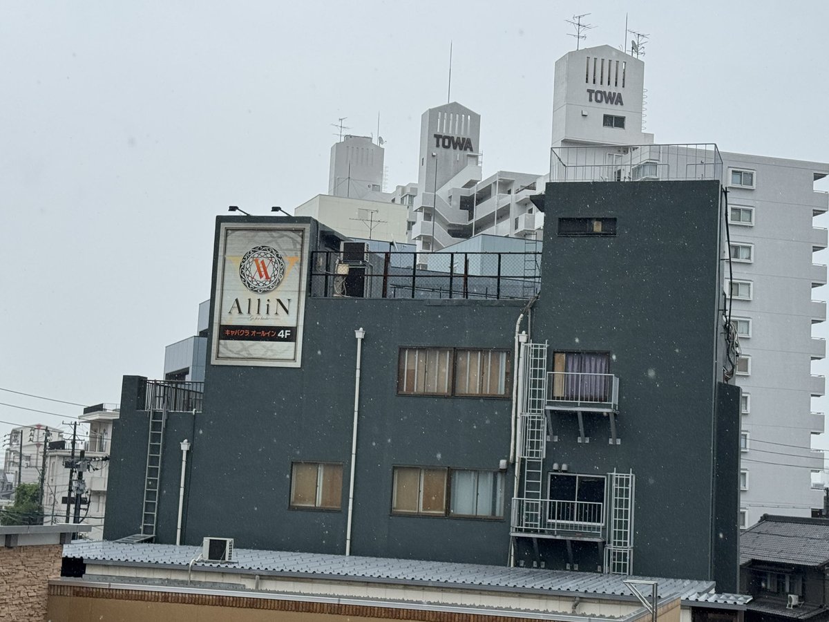 山本 真義 / Masayoshi YAMAMOTO tweet media