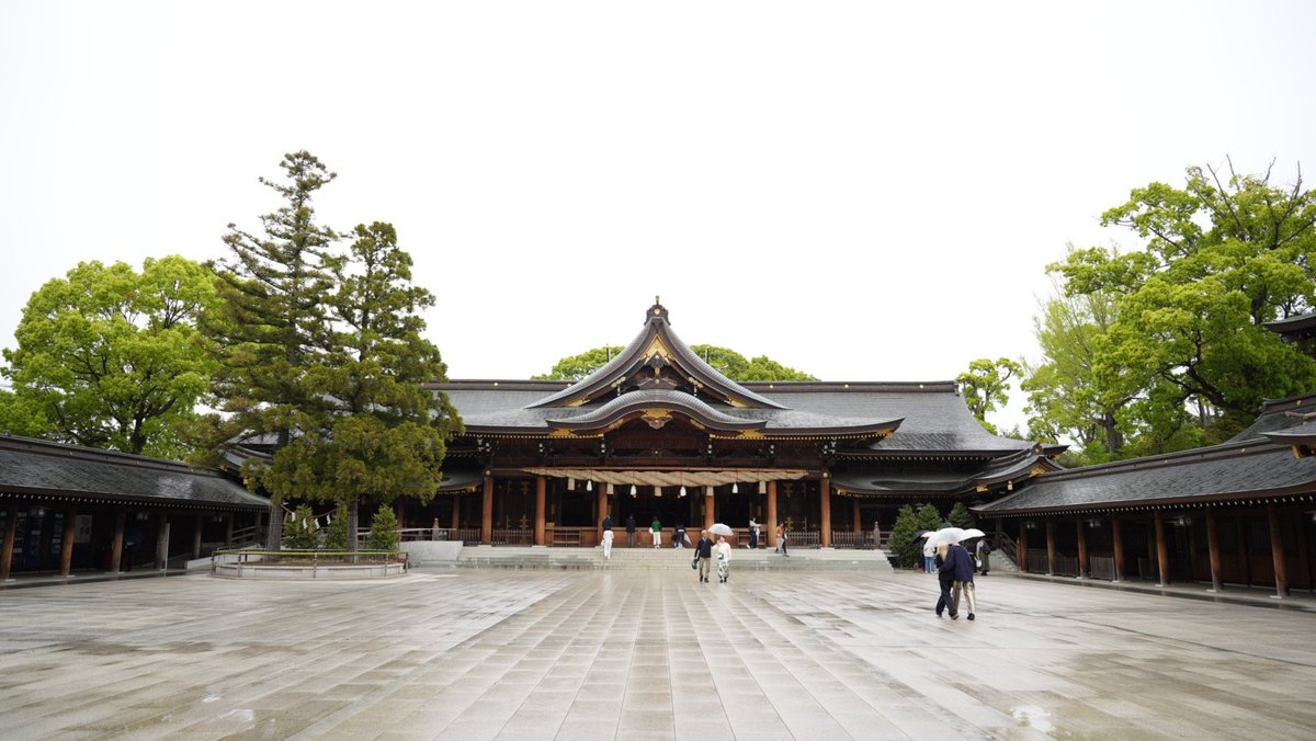 NoRi/ImpCats@GVB tweet media