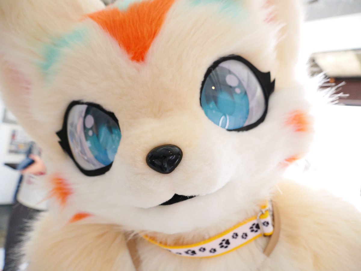 るか🐈⸒⸒⸒⸒ tweet media