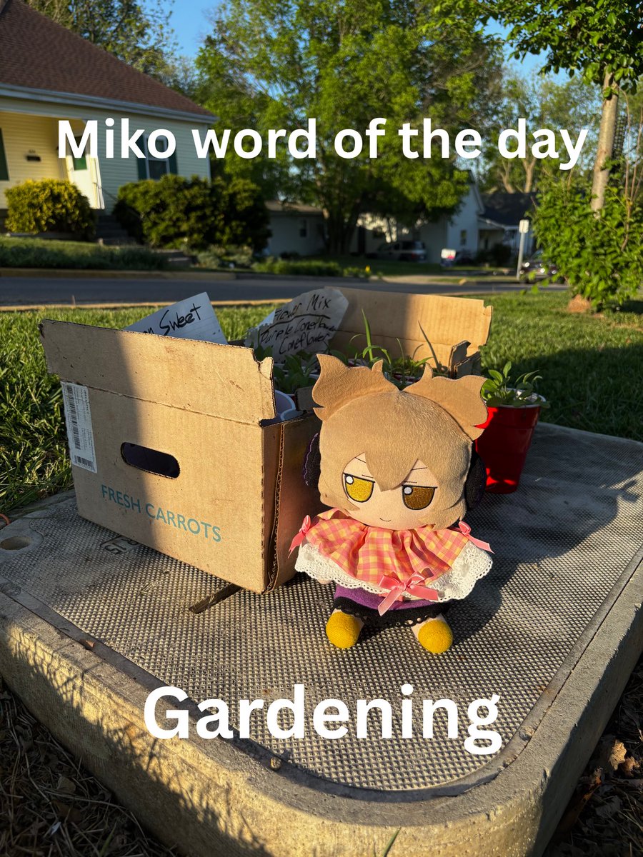 Toyosatomimi no Miko tweet media
