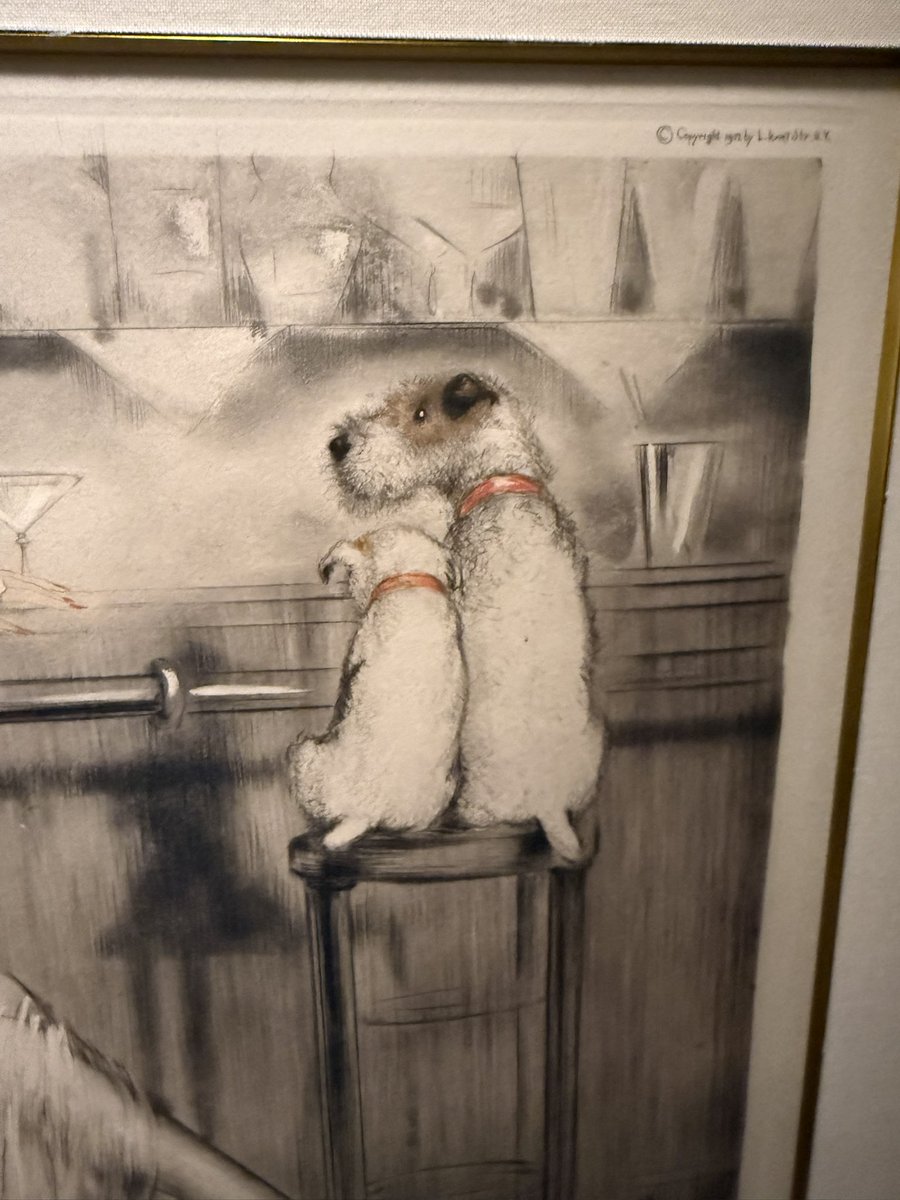 あじ🐟 tweet media