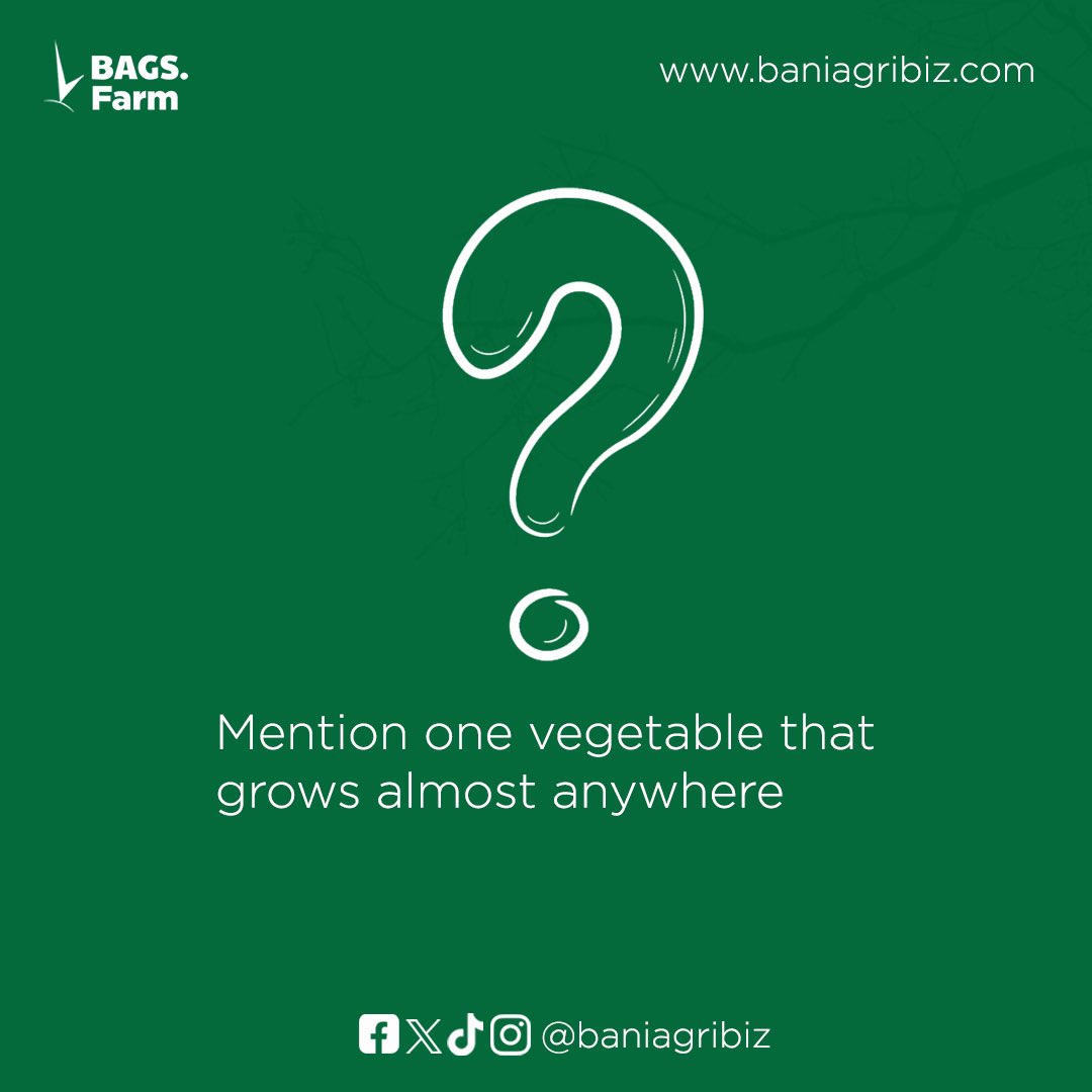 baniagribiz's tweet image. There’s definitely one that comes to mind.

Drop your thoughts in the comment section, let’s see who gets it right.

#BAGSFarm #takeaguess #vegetables #FYP #Content #agriculture #Panamá #LaGranjaVIPPerú #sosyalmedyayasasınahayır