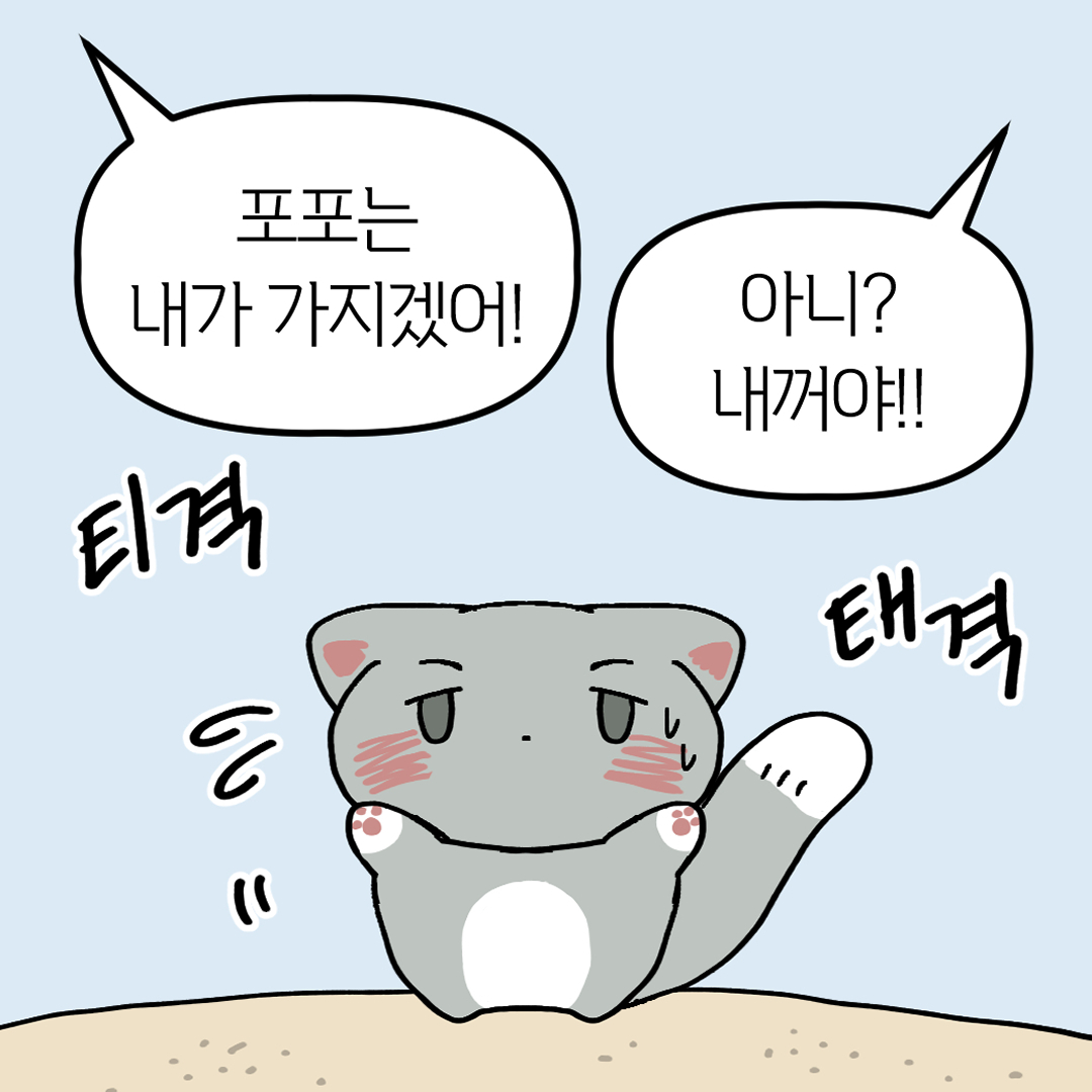 지구의 포포 tweet media