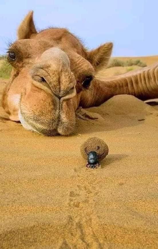 ⁦ℳ𝖏𝕶𝒜 مـيٰـࢪا tweet media