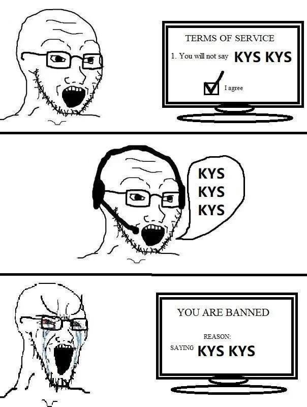 kitty cat tweet media