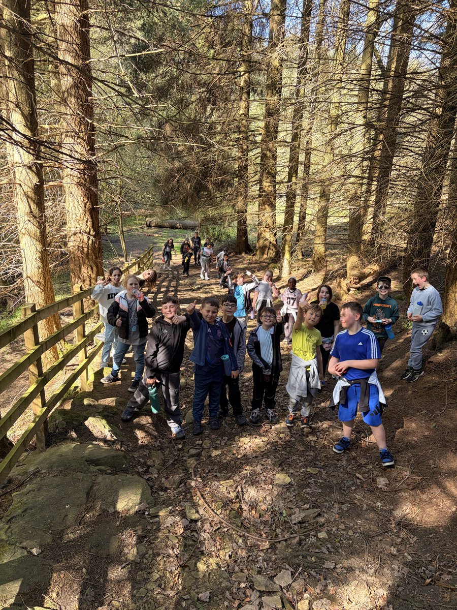 Year 5 Simpson’s Lane tweet media