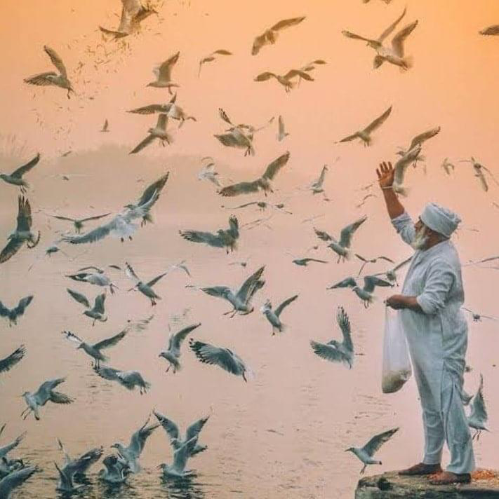عادل علي بن علي tweet media