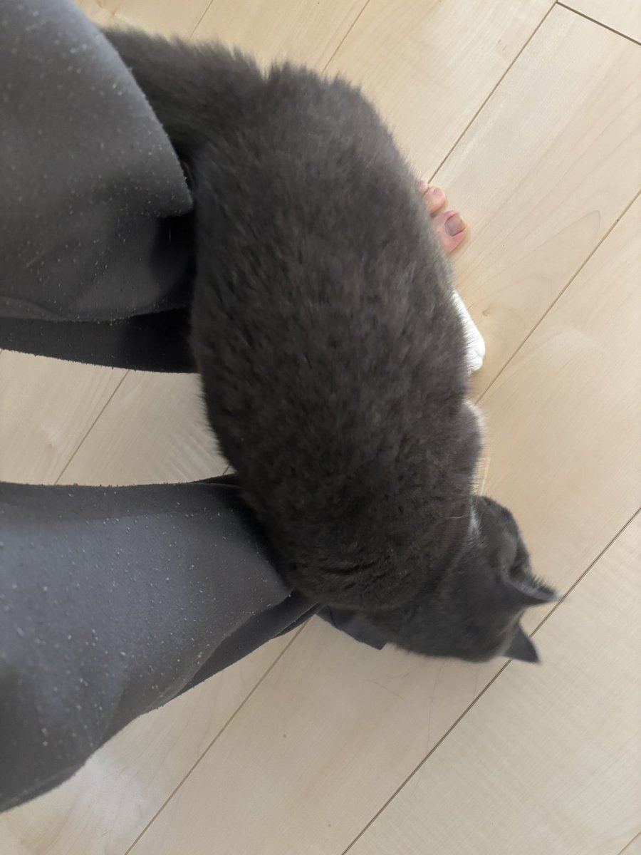 勅使河原宮 貞治 tweet media