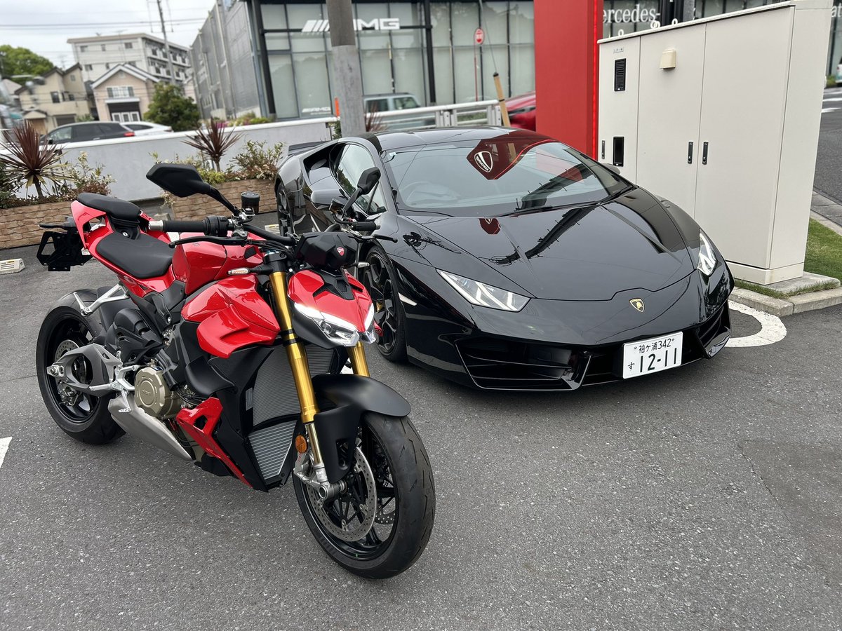 mirai。 tweet media