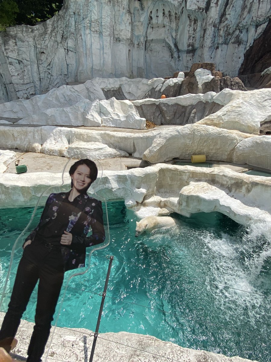 飛龍つかささんと白熊🐻‍❄️💓🙇‍♀️