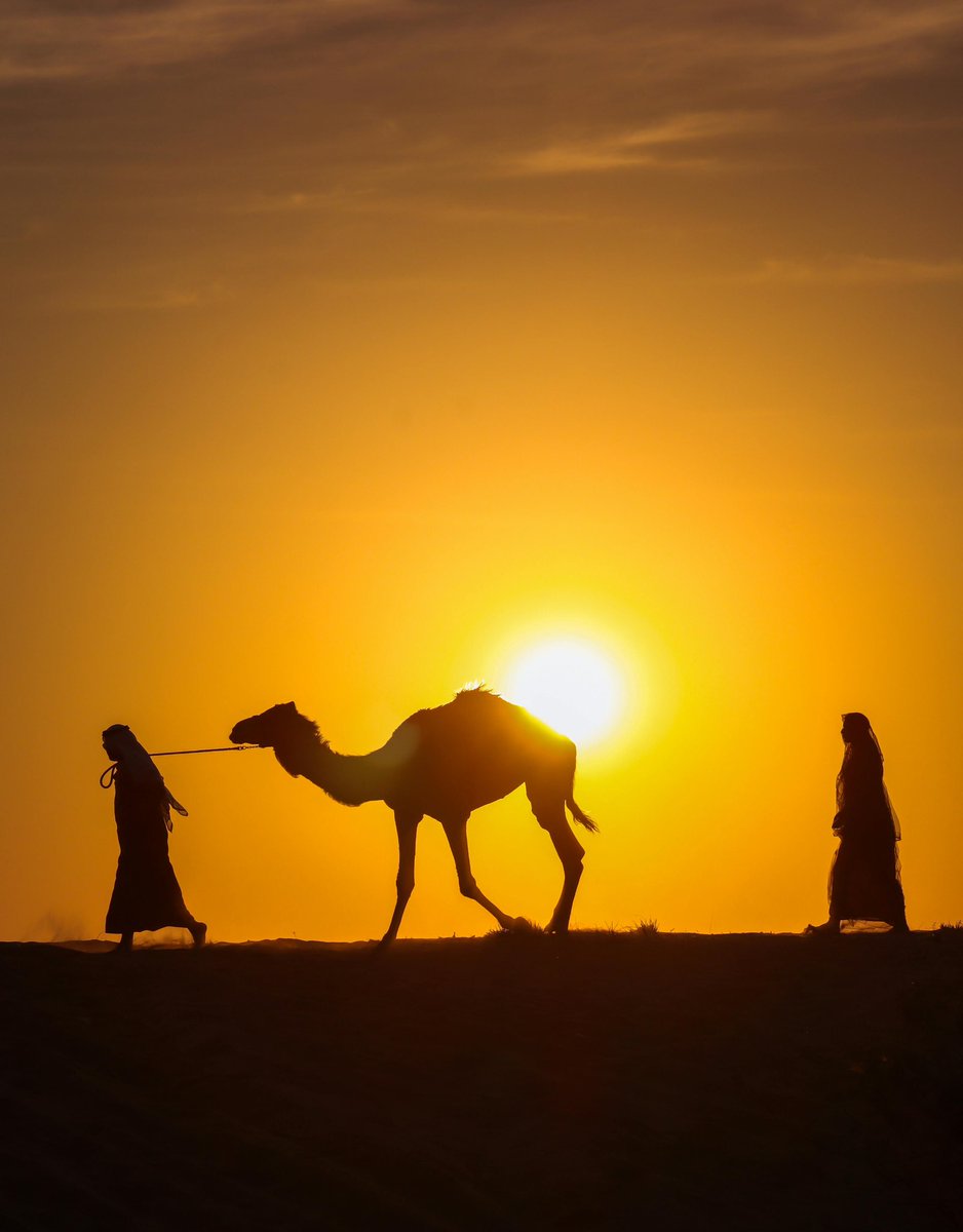 ShazaHotels's tweet image. Along ancient paths…
where journeys once paused,
stories were shared,
and hospitality was born.

At Shaza Hotels, that spirit lives on.

#Shazahotels  #IamShaza #HotelsandResorts #Shazamoments #LuxuryTravel