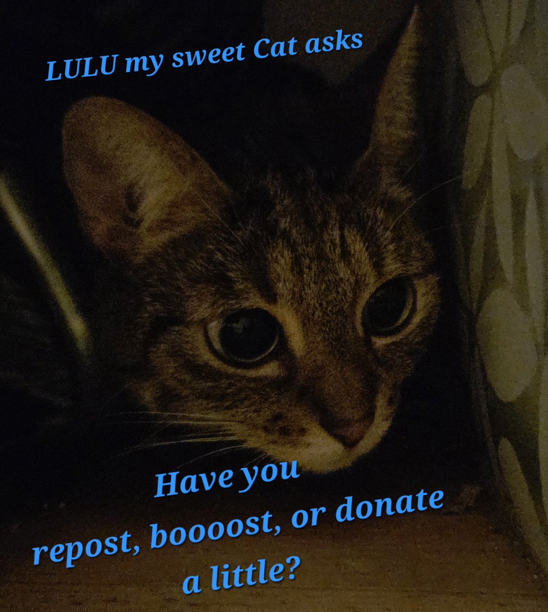 🙏🏻🙏🏻💛💙🙏🏻🙏🏻