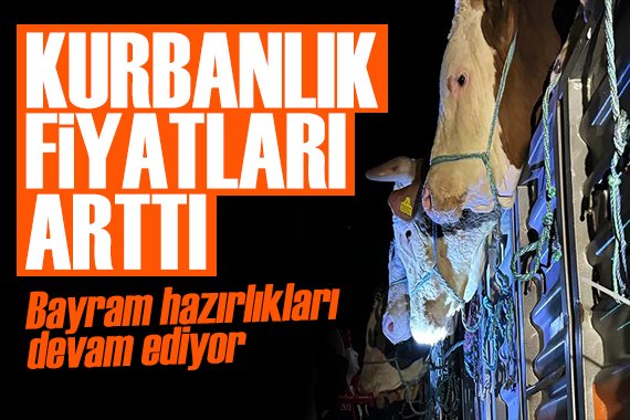 turktimecom's tweet image. Kurbanlıklar görücüye çıkıyor! Fiyatları arttı shortlink.uk/1tyIY

#kurbanlık #kurbanbayramı