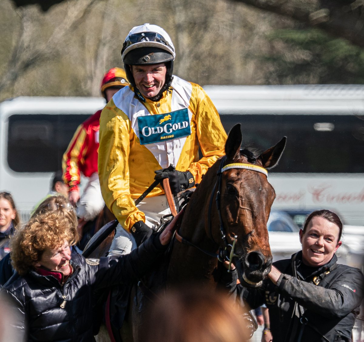 Old Gold Racing tweet media