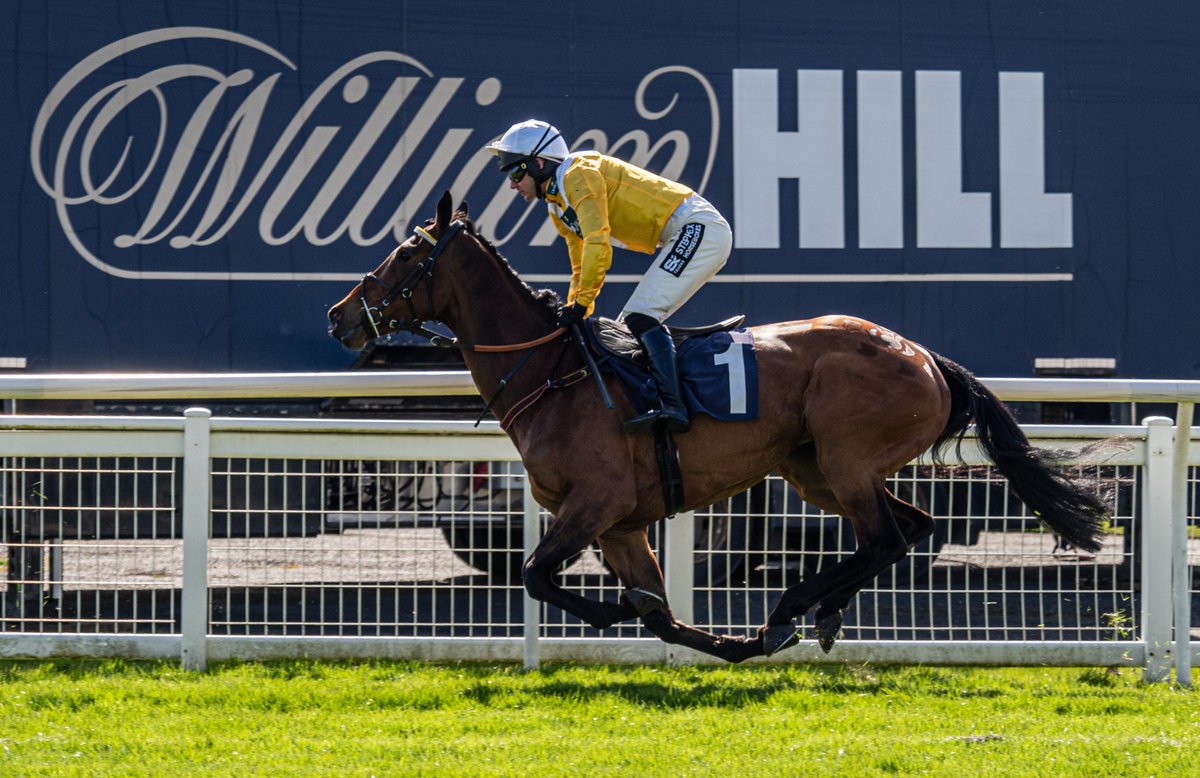 Old Gold Racing tweet media