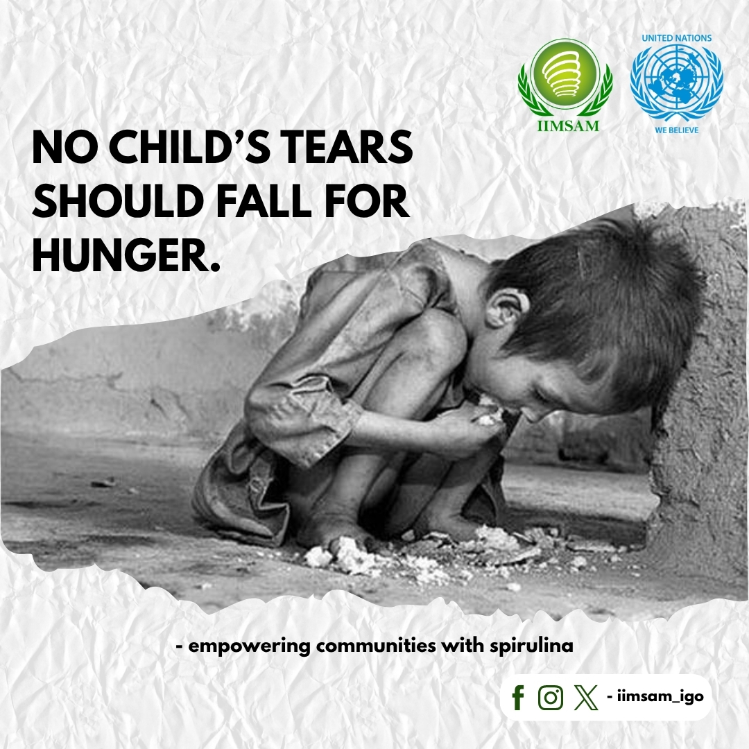 iimsam_igo's tweet image. Did you know that Spirulina is one of the most nutrient-dense foods on the planet? It’s not just a superfood; it’s a lifesaver. By empowering communities to cultivate and use Spirulina #EndHunger #Spirulina #GlobalHealth #IIMSAM #UnitedNations #ChildNutrition #ZeroHunger