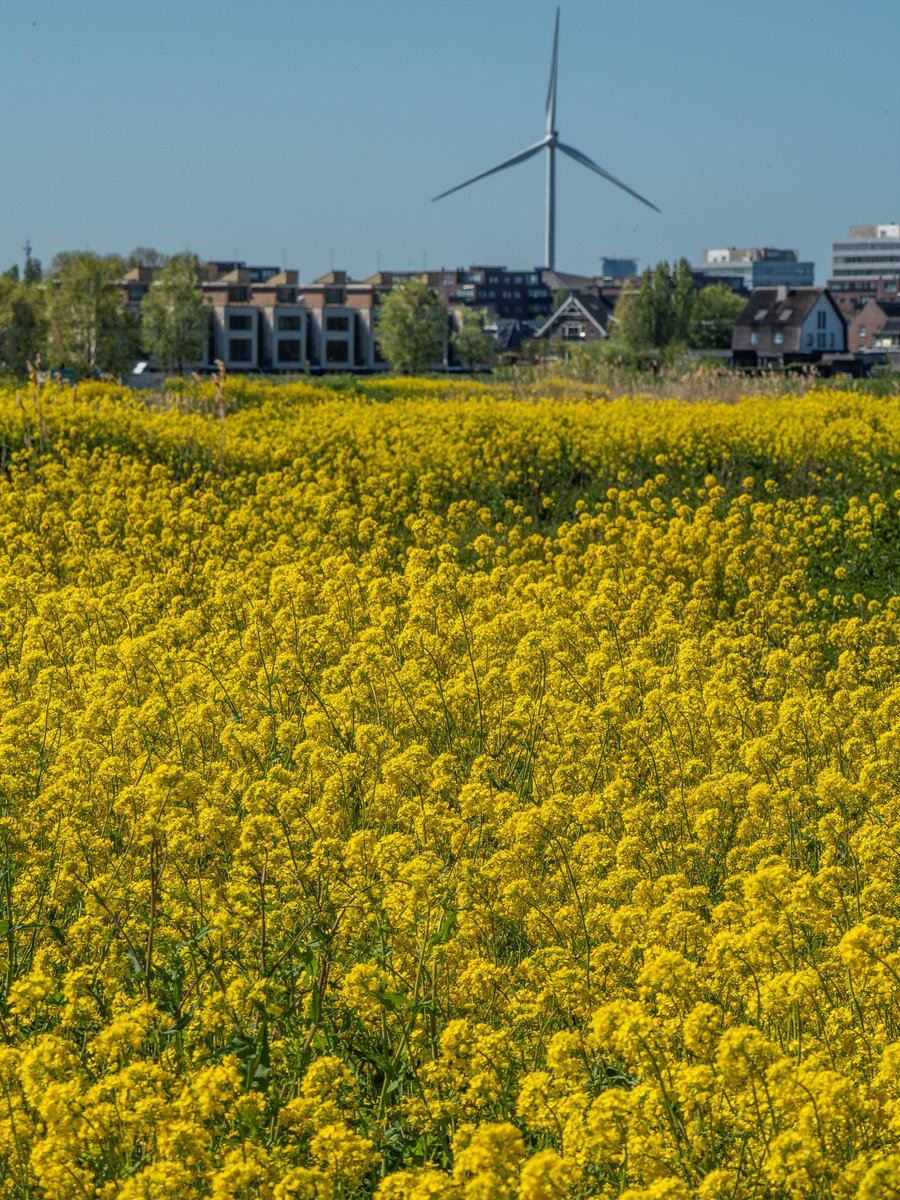 peter hegi tweet media