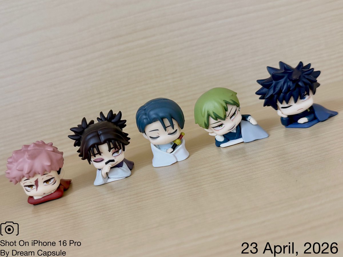 ドリームカプセルの中の人【公式】 tweet media