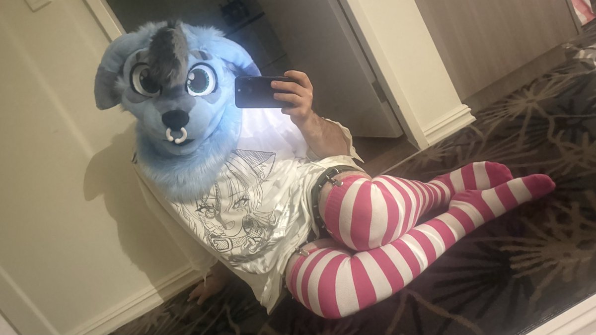 DavadHusky's tweet image. This femboy is back #femboy #furry