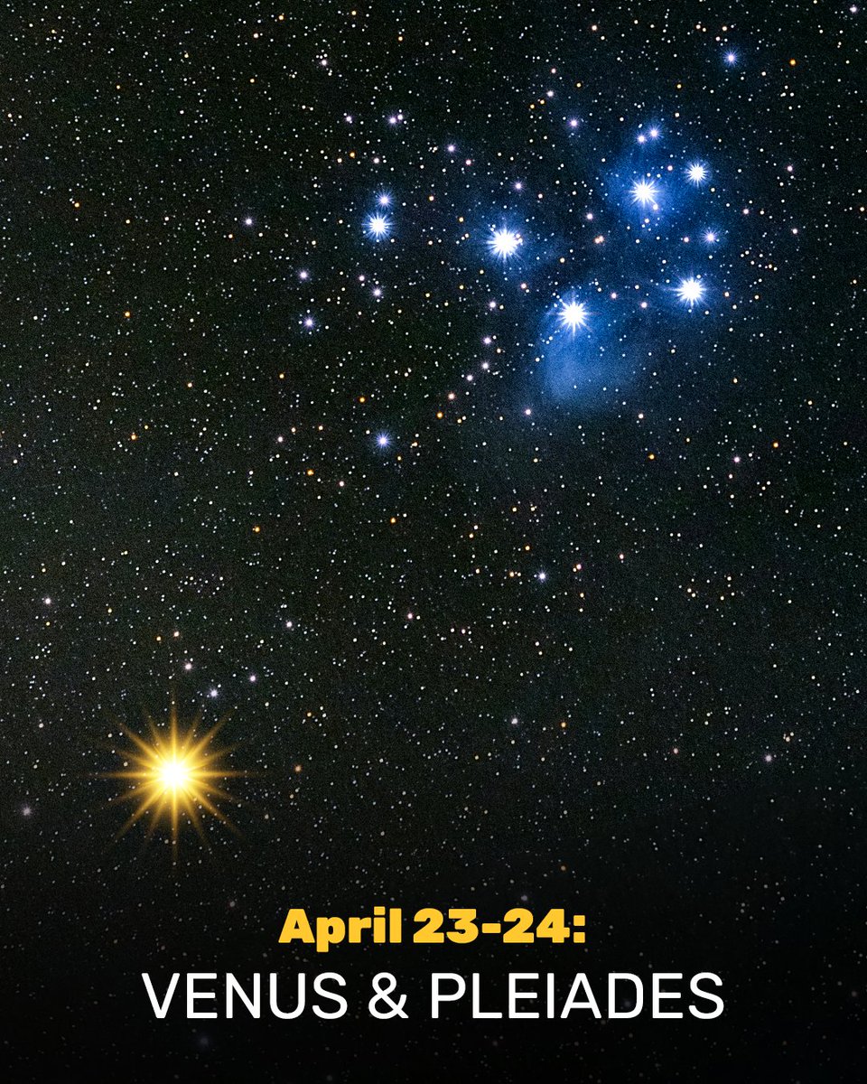 Star Walk tweet media