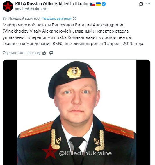 vitaliyfalcon tweet media