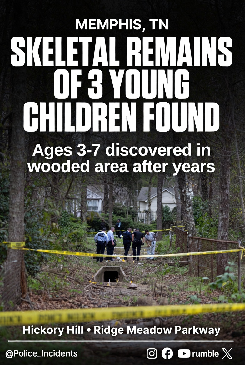 Three Young Children's Skeletal Remains Found in Memphis Woods After Years

On April 22, 2026, in Memphis, Tennessee, authorities announced the discovery of skeletal remains of three young children in a wooded area along Ridge Meadow Parkway in the Hickory Hill neighborhood.
The