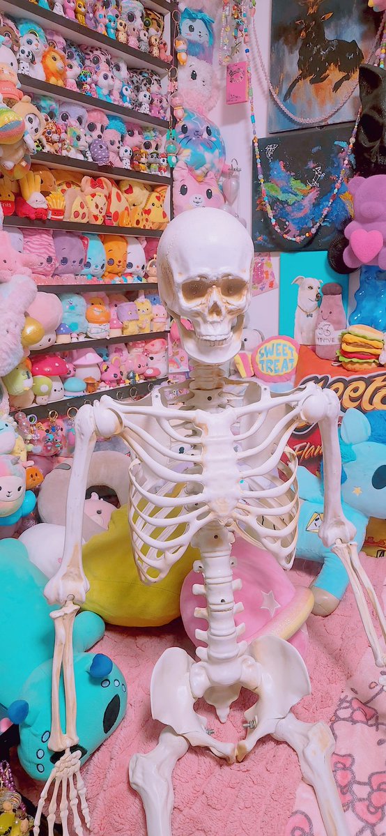 Miichel701's tweet image. #skull #skeleton #toycore #toywave #kidcore #kidwave #toyroom #skulls #skeletons #aesthetic #myroom #halloween #decoration #spookyvibes #humanskeleton #maximalist #maximalism #toys #toy #collection #collector #collectibles #toycore #toycollector #toycollection #decor