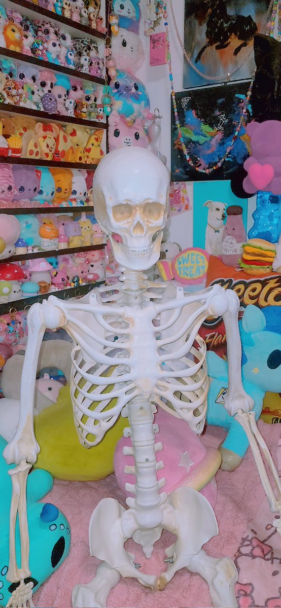 Miichel701's tweet image. #skull #skeleton #toycore #toywave #kidcore #kidwave #toyroom #skulls #skeletons #aesthetic #myroom #halloween #decoration #spookyvibes #humanskeleton #maximalist #maximalism #toys #toy #collection #collector #collectibles #toycore #toycollector #toycollection #decor