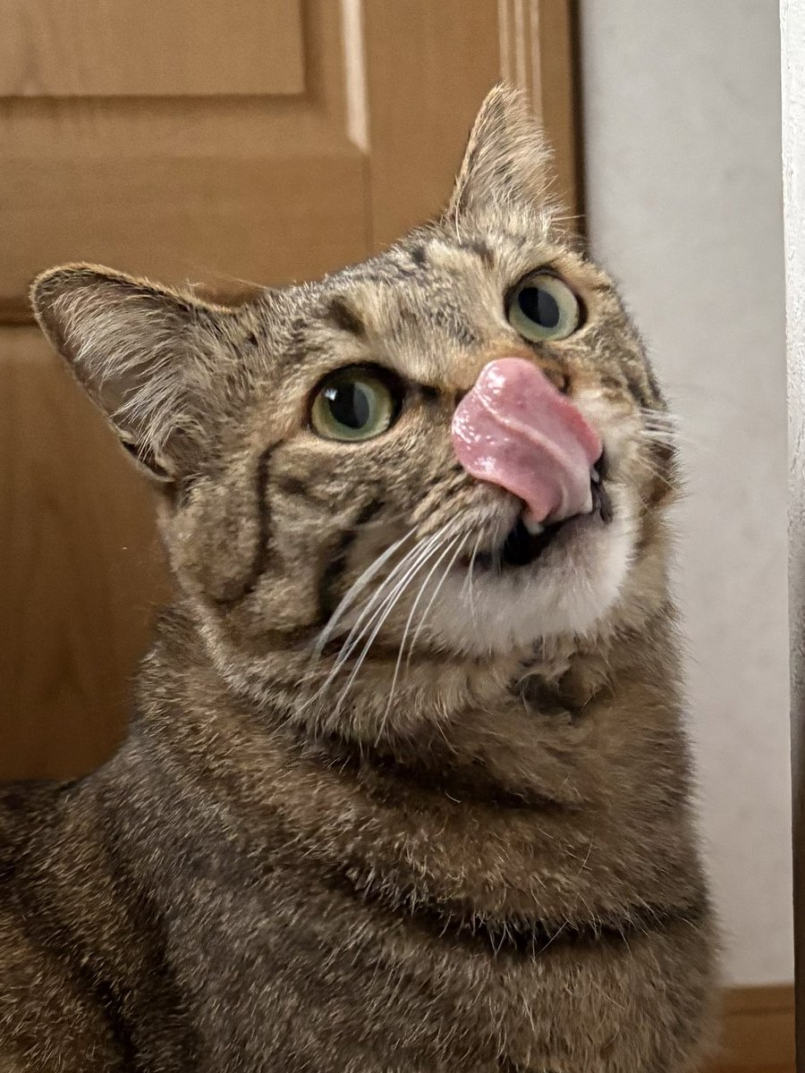 ゆずルイメイママ tweet media