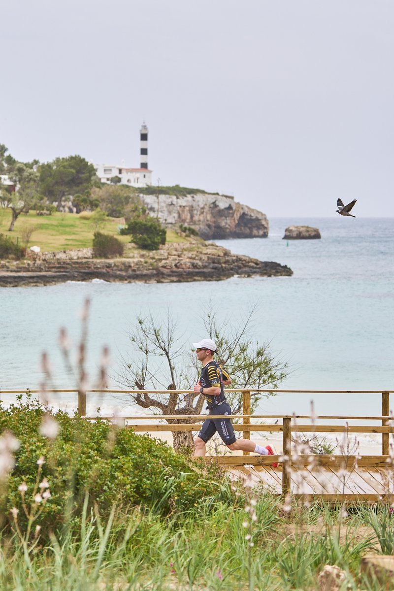 TriPortocolom's tweet photo. El #TriPortocolom26 ha estat inoblidable... Et vens l'11 d'abril de 2027 a gaudir del triatló més antic i amb més sabor i passió de les Illes Balears? Inscriu-te al #TriPortocolom27 (distàncies 55.5 o 111) abans que volin els dorsals. https://t.co/nWgsd20CkO