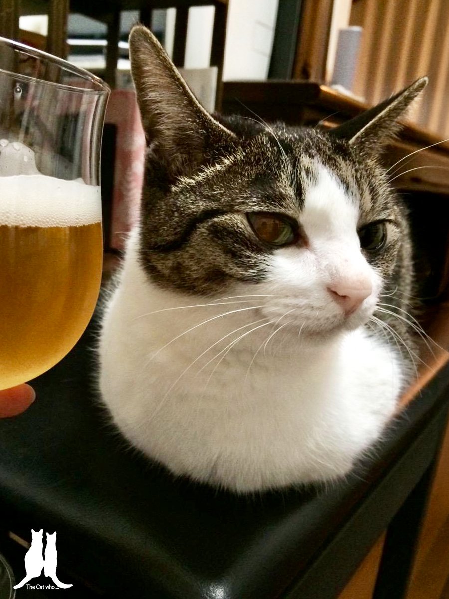 4月23日は #地ビール #クラフトビールの日🍺
1516年の今日 ドイツで「ビール純粋令」が施行されたことに由来

クラフトビールって ただのビールじゃなくて小規模なブルワリーが情熱を込めて作る個性豊かなビールのこと

今日も一日 #お疲れ様でした🍻