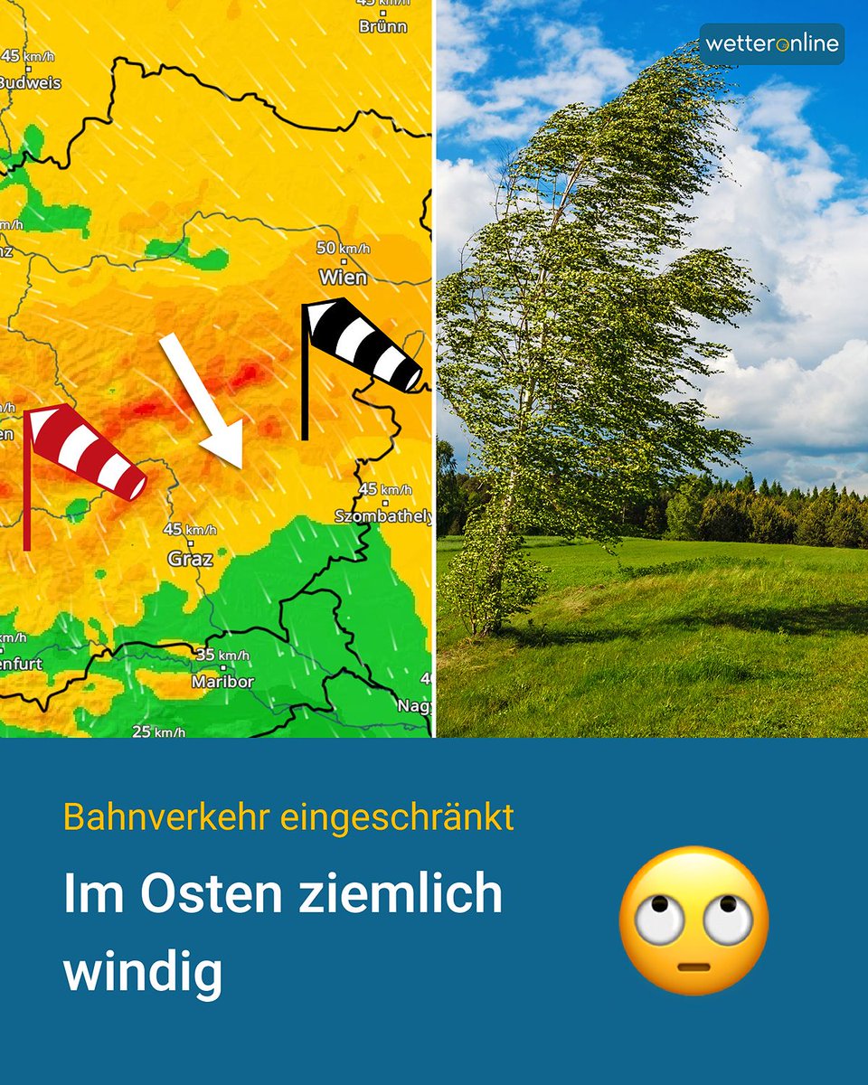 WetterOnline_AT's tweet image. Viel Sonne und milde Luft ☀️🌸
Im Osten mehr Wolken und kräftiger Wind mit Böen bis 50 km/h, im Bergland bis 100 km/h. 💨

Mehr Infos im Artikel: 
👉 to.wetteronline.at/osten-ziemlich…

#Wetter #Frühling #Wind #Deutschland