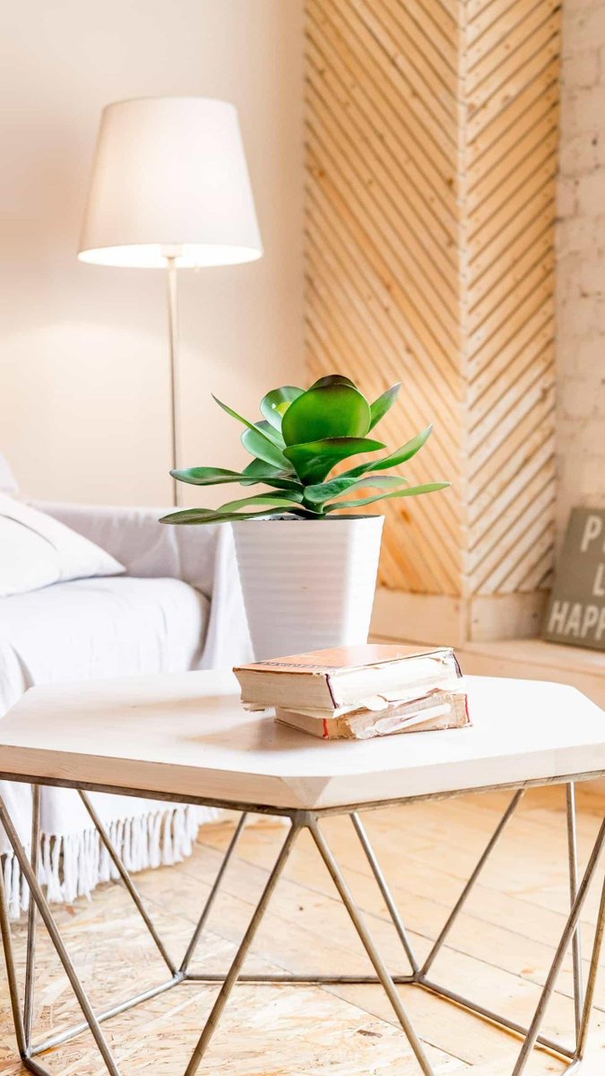 mgx1909's tweet image. "Morning check-in: Coffee in hand, to-do list in sight. Let’s crush today’s goals—one task at a time!  #WorkMode #DailyGrind"